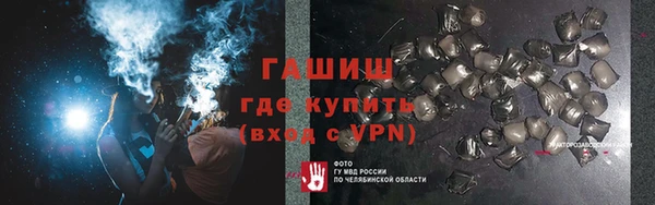 дурь Ельня