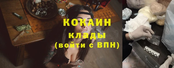 стафф Елизово