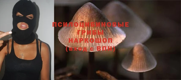 дурь Ельня