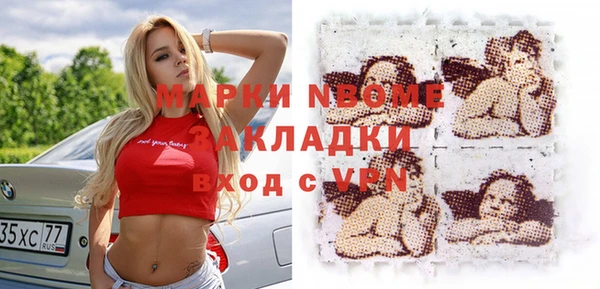 дурь Ельня