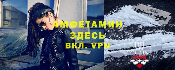 стафф Елизово