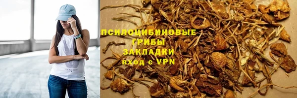 дурь Ельня