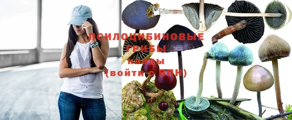 бутират Елабуга