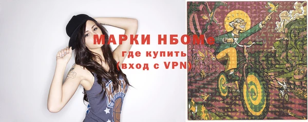 стафф Елизово