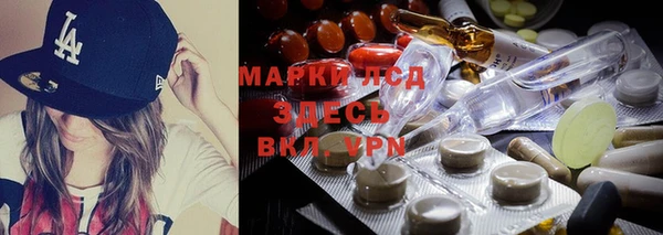 дурь Ельня