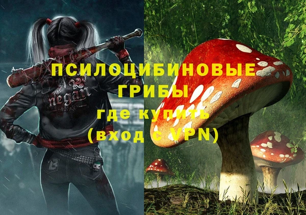стафф Елизово