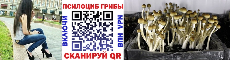 Псилоцибиновые грибы Psilocybe закладки hydra ТОР Сретенск